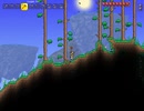 Terrariaの世界を俺色に染め上げる実況 Part8