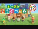 【ゆるりと】あつまれ どうぶつの森 １２日目