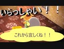【あつまれ どうぶつの森】　第三十七幕　amiibo住民が遂に来てくれた！！そして早くも次の？