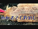 [エギング]初心者がコウイカエギングしてみたら案外簡単に...