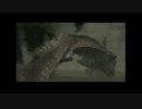 【TAS】ワンダと巨像(PS2) NTA第１０の巨像 32秒25