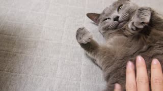 濃厚接触はダメだからエアもみもみ・・・最後我慢できず結局濃厚接触