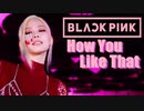 BLACKPINK ❌ How You Like That 　official MV　 ✅和訳付　