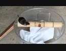 ホモと学ぶマウストラップ.Rolling