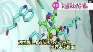 薬が効きにくい耐性菌の働き止める化学物質を発見 名古屋大