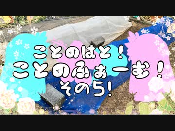 【VOICEROID園芸部】ことのふぁーむ！その５！【琴葉茜・葵】
