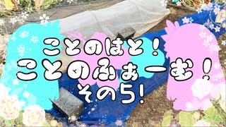 【VOICEROID園芸部】ことのふぁーむ！その５！【琴葉茜・葵】