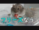 フリーズはいつも突然に・・・ Freezes are always sudden...  #58【ハムスター物語】