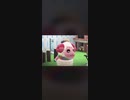 ちゃちゃまるㄟ(･∀･)ㄏみんな見てけよな！【無断転載ではありません許可⭕️】