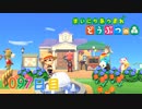 【実況】まいにち あつまれ どうぶつの森97日目