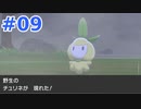 【実況】色違いなので全クリです　part９【ポケットモンスターソード】