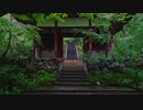 雨の常寂光寺
