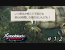 散策、巨神脚。【ゼノブレイドDE】＃１２