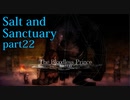 【Salt_and_Sanctuary】2D世界の呪われた島を初見探索【実況】part22