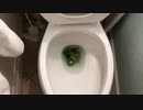 ハラペーニョをトイレに流してみた