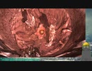 【Dead Space】あらくまさんとユニバース電気工事士⑥