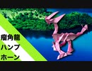 【折り紙】「瘤角龍ハンプホーン」 19枚【ドラゴン】／【origami】"Ryukaku Dragon Hump Horn" 19 pieces【dragon】