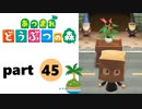 【あつまれどうぶつの森】無人島の覇者【実況】part45