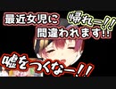 【宝鐘マリン】ついに自分を女児だと主張しだした元ブラック会社員