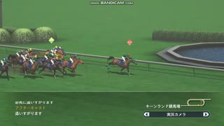 【WP8-2015】現役中に亡くなった馬と､その子孫縛り-修153回