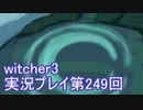 探し人を求めてwitcher3実況プレイ第249回