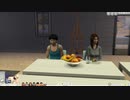 SIMS4やったときの11