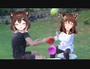 【野良猫】文野環！人の家でスイカを割る！【フミ】　