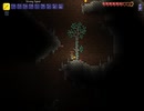 Terrariaの世界を俺色に染め上げる実況 Part9