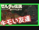 【ゼルダの伝説BotW】バクダンで大体のことは解決する大冒険 part26【実況】