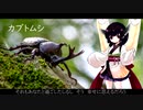 カブトムシ/aiko【NEUTRINO AIきりたん カバー 歌詞付き】
