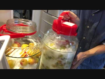 今からの夏の暑さに最適、梅ジュースを作ってみました！