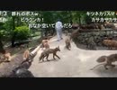 『 旅部35 』山形県の旅01