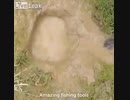 ホモと見る炭酸飲魚 蛇使い編