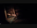 屋根裏に行っただけの動画(ホコリパネェ)