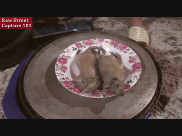 ホモと学ぶネズミVSベトナム人@cooking