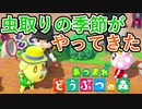【あつ森】夏だ！虫取りの季節だ！【虫取り大会】