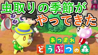 【あつ森】夏だ！虫取りの季節だ！【虫取り大会】