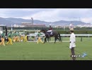 2020 宝塚記念