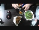 あの枠【2020/06/25】