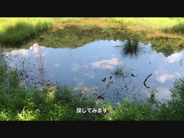 湿地で生き物を探索！