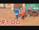 【実況】はじめての虫取り大会 #100【あつまれどうぶつの森】