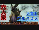 【モンスターハンターダブルクロス】「裸」再来!!本気の六人衆!!「特殊」ウルクスス【お奉行視点･おおはし】Part60