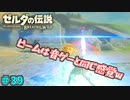 【続編決定記念】のんびりと伝説「ゼルダの伝説～ブレスオブザワイルド～」　＃39