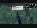 【ゼノブレイドDE】だからと言って嘘をついていいわけじゃないよね【実況】♯23.3