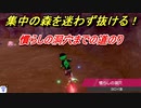 ポケモン剣盾　集中の森から慣らしの洞穴までの道のり案内！集中の森を迷わず抜ける！　【ポケモンソード・シールド】