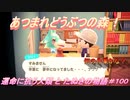 【あつ森】前人未島へようこそ！#100【あつまれどうぶつの森】
