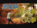 形意拳 五行拳【劈拳・崩拳・鑚拳・炮拳・横拳】八式拳套路 発勁は明勁 暗勁化勁は無しで稽古まとめ