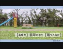 【あゆか】翡翠のまち【踊ってみた】