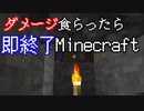 ダメージを食らったら即終了マインクラフト【Minecraft】　#19