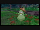 【ポケットモンスター シールド】DLC #6 スープの食材を探して